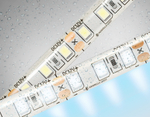 GS1203 2835 120Led/ 9.6W m/ 12V IP65 6500K/ 5000*8*2.27mm (2 конт.)