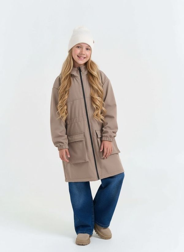 Парка Softshell 