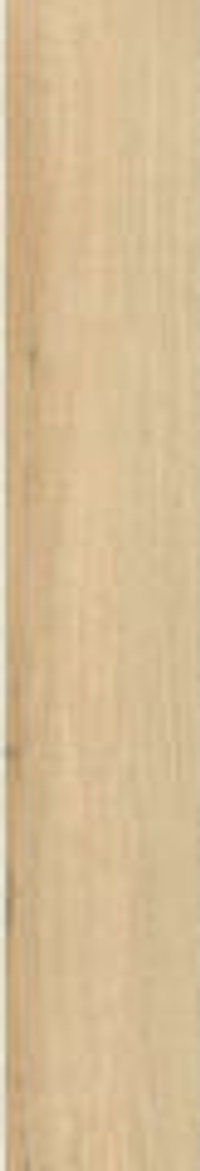 Estima Artwood AW01 19.4x120