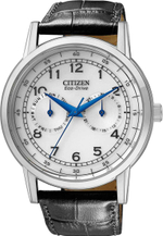 Мужские наручные часы Citizen AO9000-06B