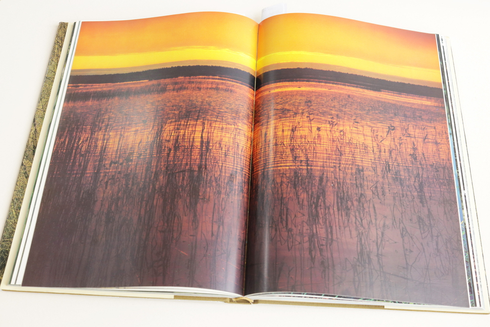 Мещерская сторона