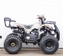 Квадроцикл STALKER 125 Fox