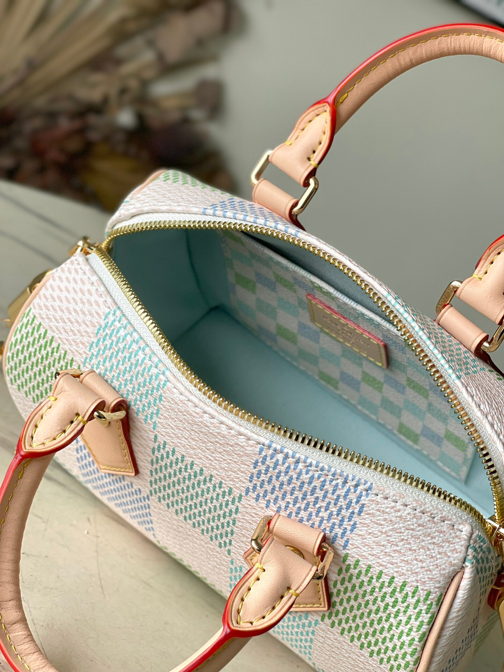 Louis Vuitton Speedy 20