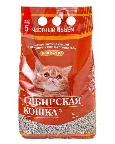 Сибирская кошка для котят