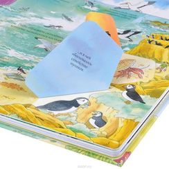 Открой тайны подводного мира