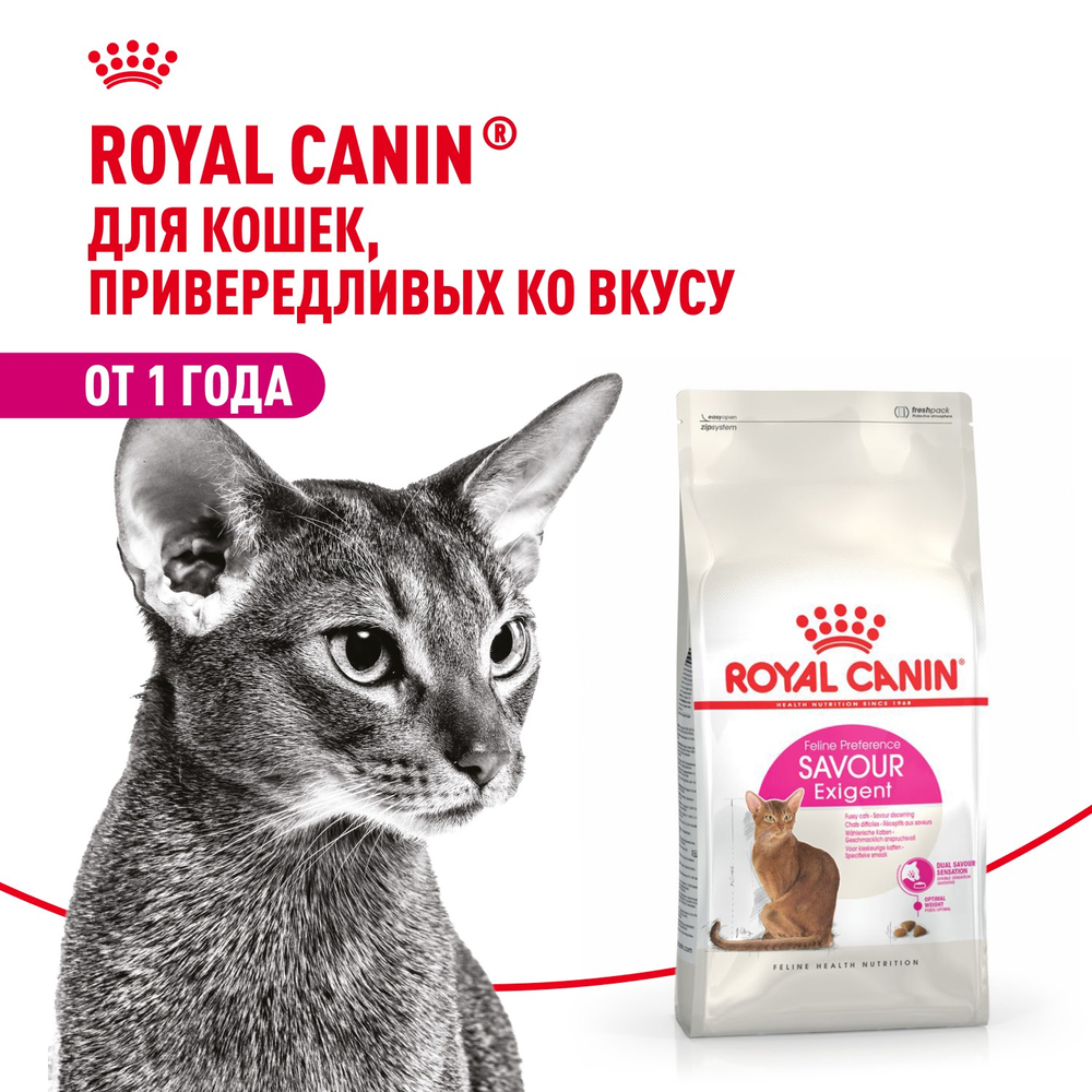 Royal Canin Savour Exigent Сэйвор Экзиджент Корм сухой для взрослых кошек привередливых ко вкусу 400г