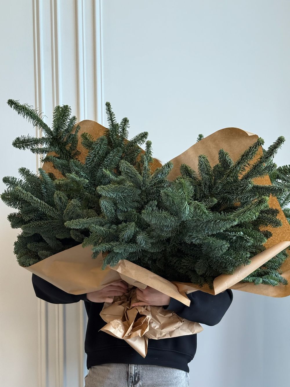 Хвоя - охапка нобилиса