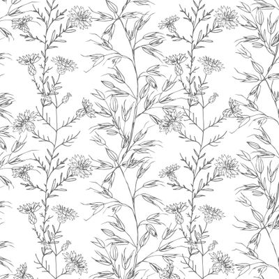 Темный контур васильки, овес и луговые травы