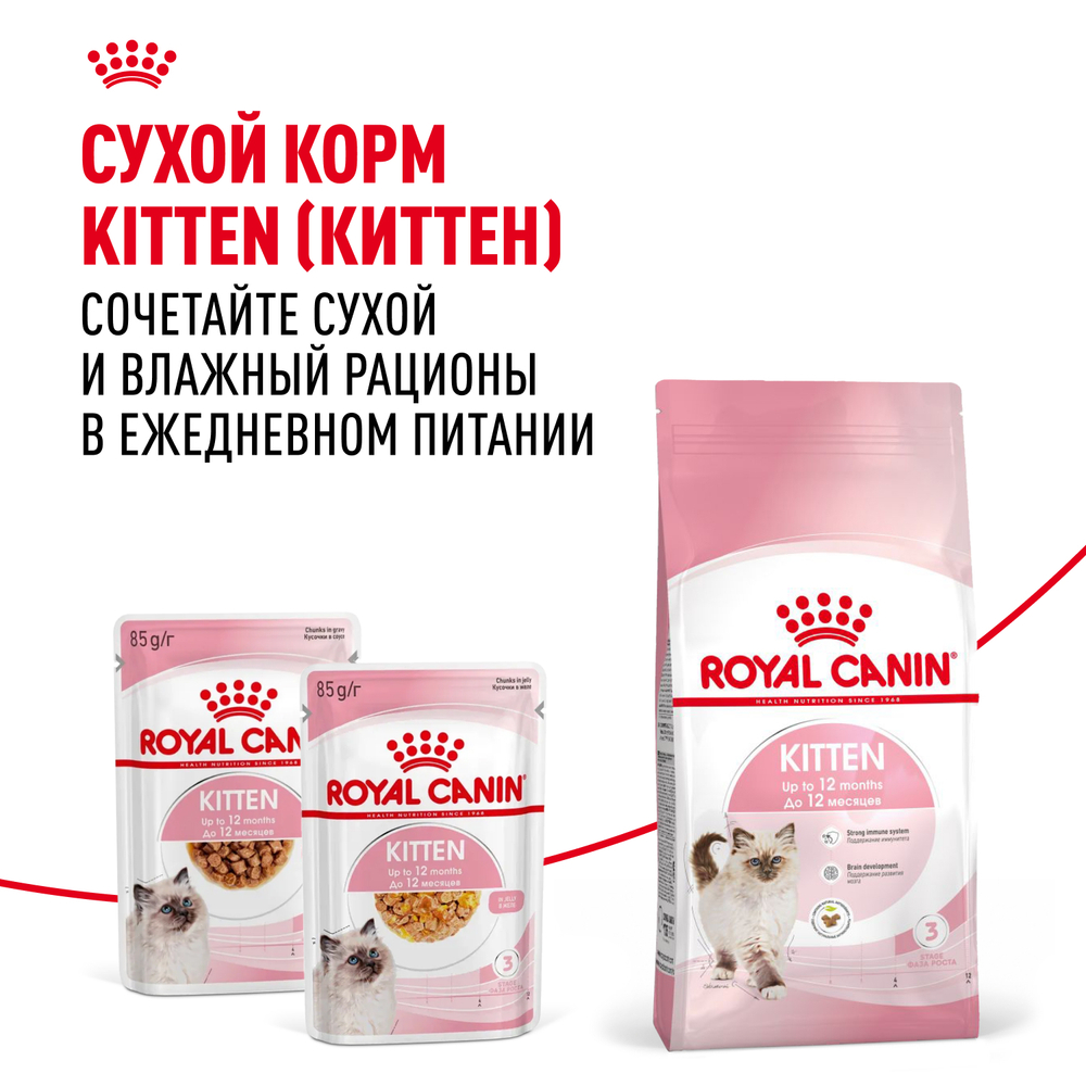 Консервы ROYAL CANIN для котят, Kitten, желе - 85 гр