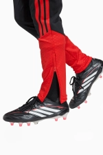 Штаны adidas Belgium 2026 Training Junior - черный