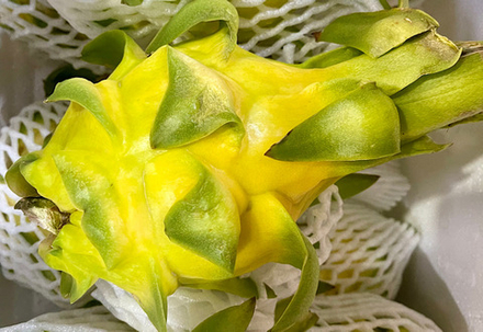 Питахайя Жёлтая, 1 кг