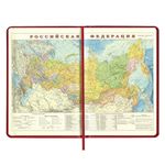 Ежедневник недатированный А5 138х213 мм BRAUBERG "Iguana" под кожу, 160 л., бордовый, 125092