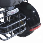 Электроскутер CityCoco Skyboard MyRussia (Маруся) BR60 3000W Trike