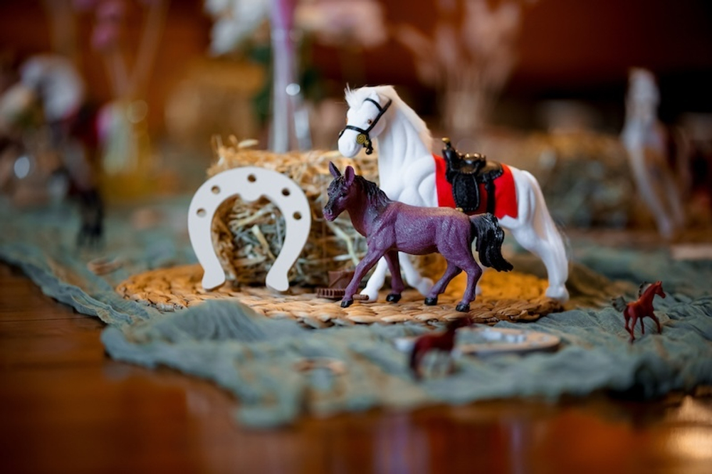 Horse Party