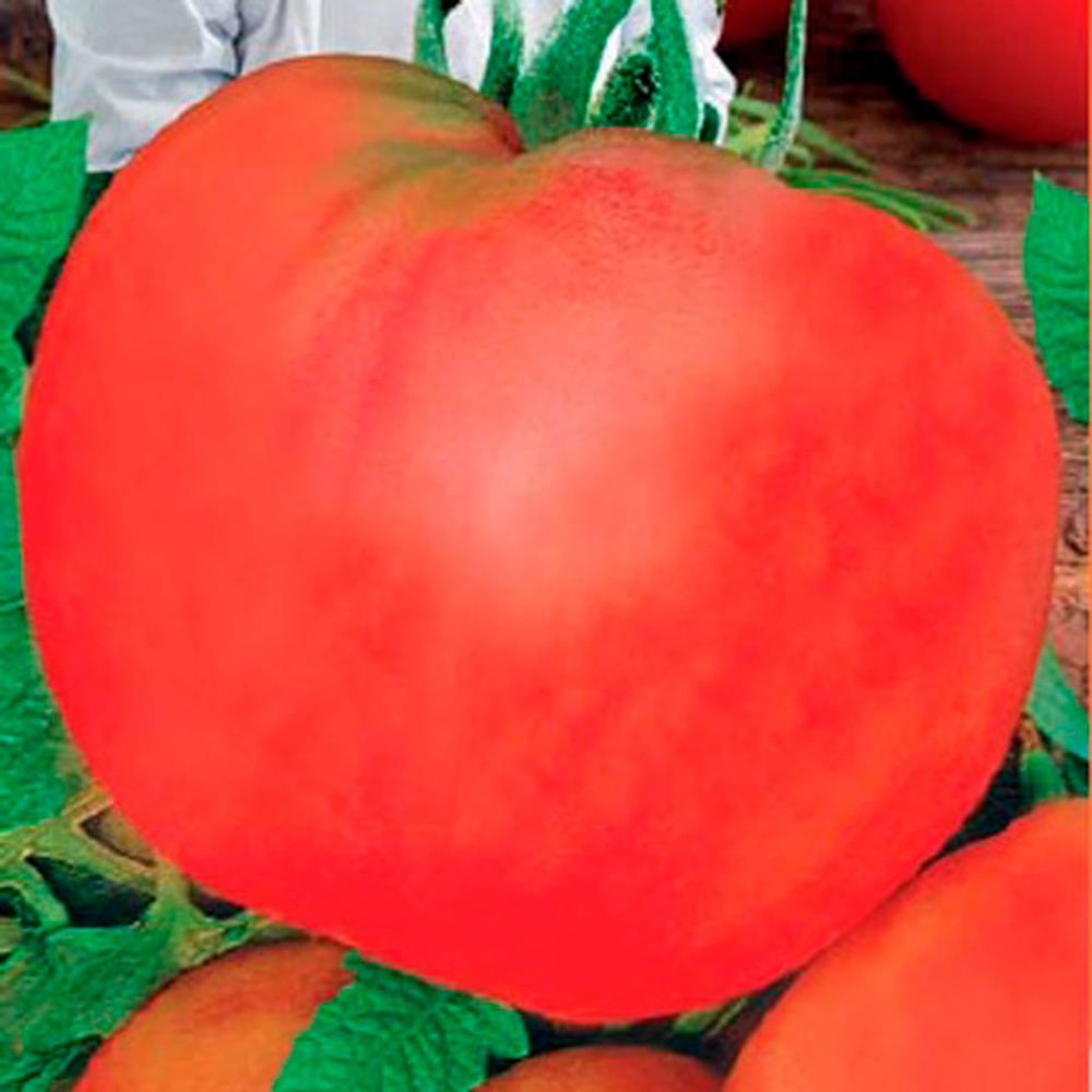 Томат Шальная императрица (ШТВ) Б/Ф 20шт Ц Марс