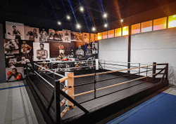 Ринг боксерский в СИЛОВОЙ раме TARGEX