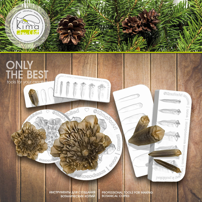 Шишки сосновые