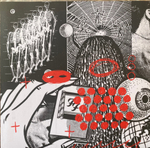 Foo Fighters / Your Favorite Toy (LP)