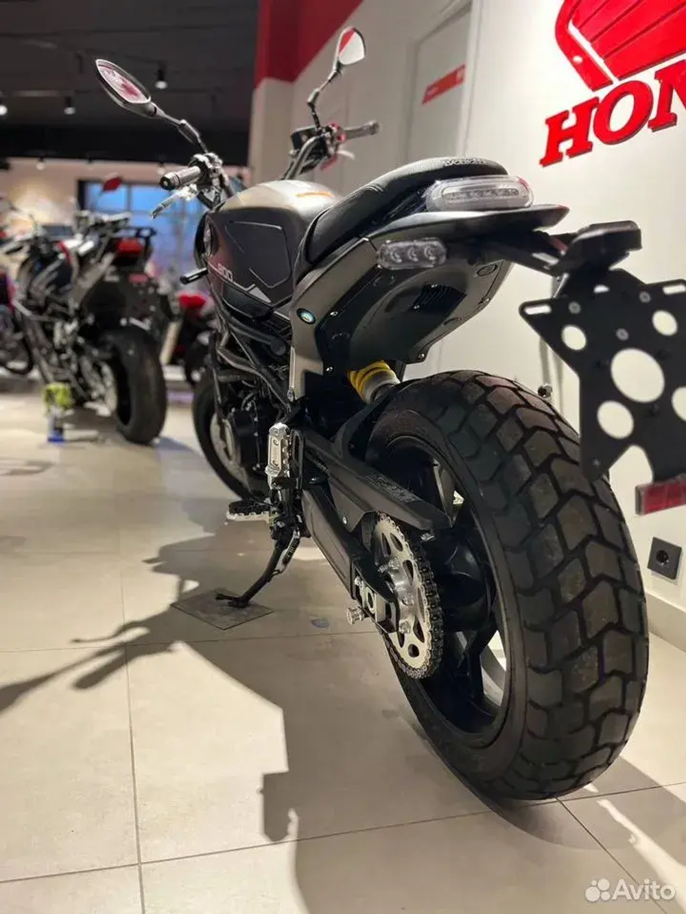 Benelli Leoncino 800