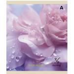 Тетрадь 36 л., А5, клетка, Alingar "Нежный букет", скрепка, офсет, мелованная бумага, 5 дизайнов в пленке т/у