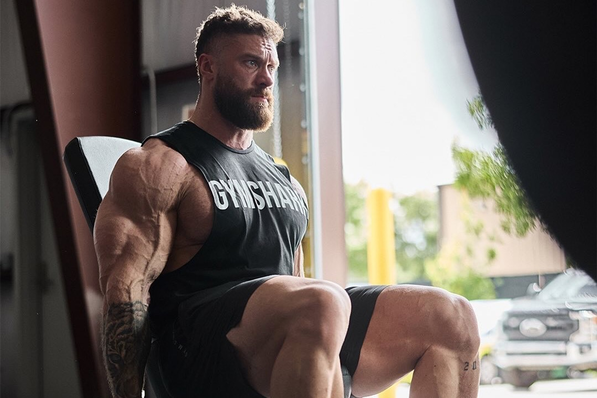 Мужская  коллекция  GYMSHARK