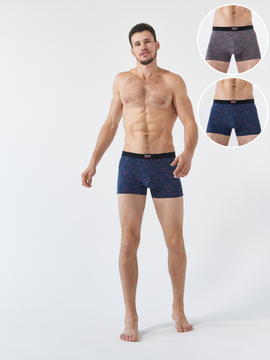 Набор мужских боксеров TMS2-9173/3