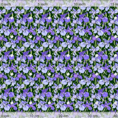 ирисы на темном фоне by Anna Maksimova 833 DPI