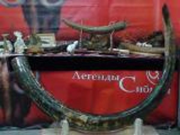 Компания &quot;Легенды Сибири&quot; представила новый коллекционный бивень мамонта &quot;Мелодия тысячелетий&quot;