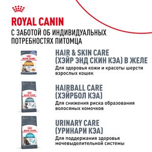Пауч Royal Canin Hair&Skin Care для взрослых кошек для поддержания здоровья кожи и красоты шерсти, тонкие ломтики в соусе