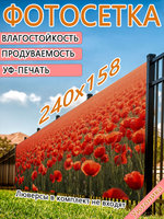 Фотосетка 240х158 светостойкая