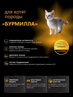 Корм сухой для котят породы Бурмилла, с индейкой, 400 гр
