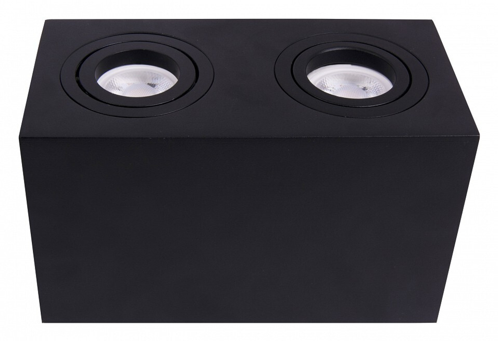 Накладной светильник Maytoni Technical C017CL-02B