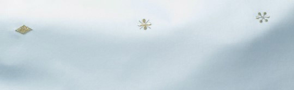 Наволочка 40х40 Christian Fischbacher Luxury Nights Piccolini 706 Швейцария фрагмент