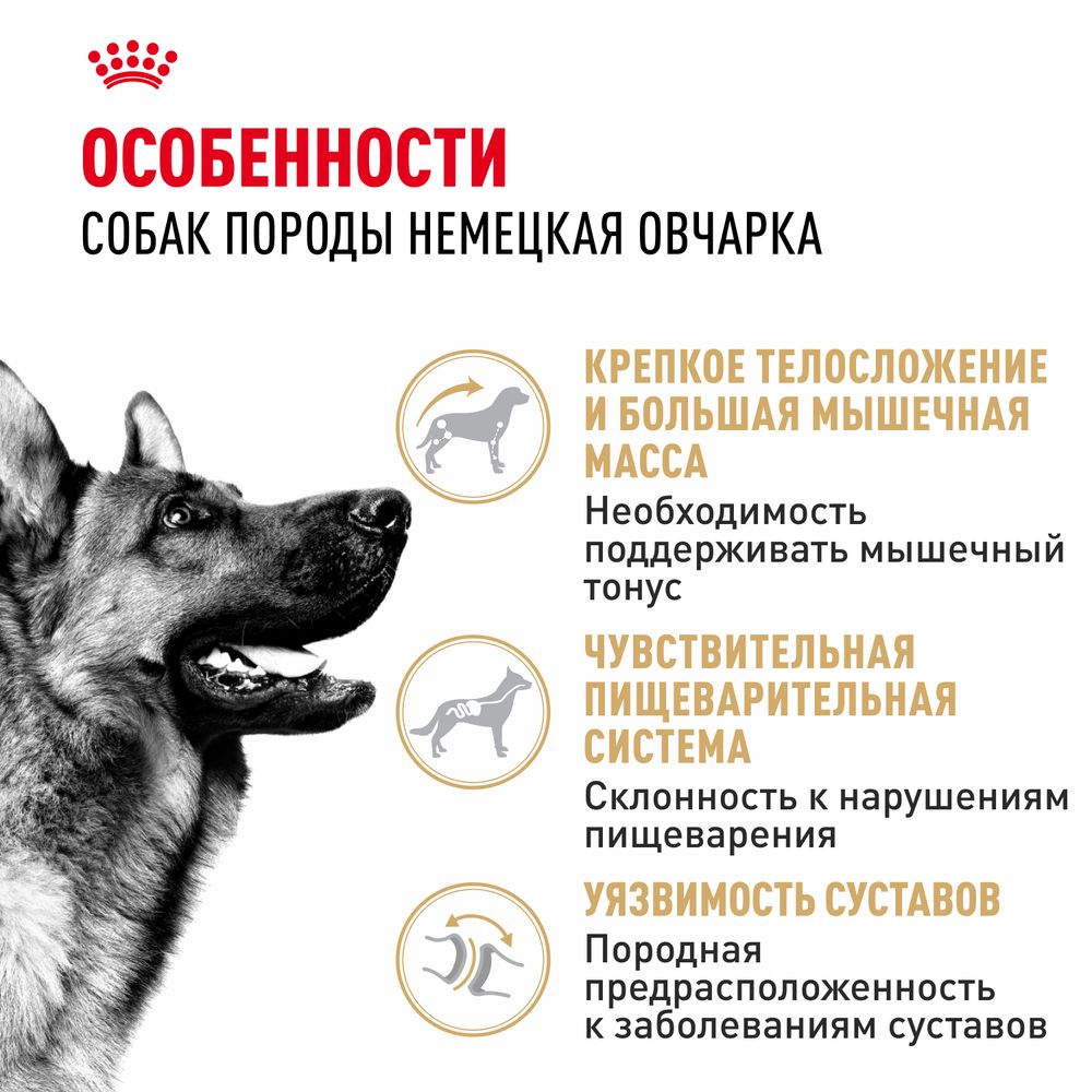 Сухой корм Royal Canin German Shepherd Adult для взрослых собак породы Немецкая Овчарка от 15 месяцев