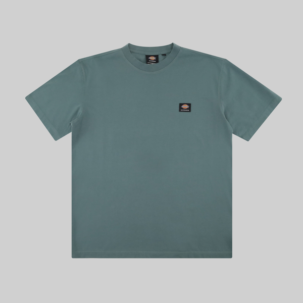 Футболка мужская Dickies Skateboarding Mount Vista Shirt артикул:WSSK6_green - купить в магазине Дайс