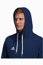 Кофта adidas Entrada 22 Sweat