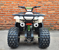 Квадроцикл MOWGLI Hardy 8+
