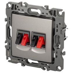 Розетка ЭРА Серия 12 12-3112-16 аудио двойная, титан