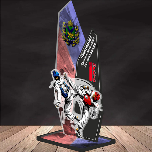 Акриловый приз Тхэквондо 3529-220
