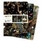 Bloknot \ Блокнот \ Notebook Ashmolean Museum Set of 3 Standard Notebooks