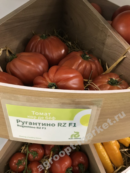Ругантино F1 семена томата индетерминантного (Rijk Zwaan / Райк Цваан) плод – фото 7