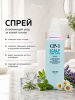 ESTHETIC HOUSE Набор Спрей для кожи головы CP-1 Scalp Tincture, 100мл и Скраб CP-1 Scalp Scaler, 35мл