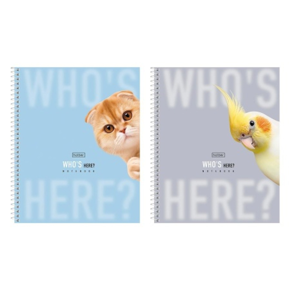 5be86842676029a09eea20f920f29804