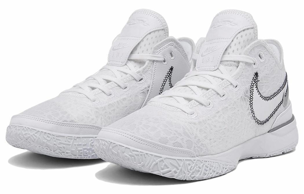 Кроссовки Nike Lebron Nxxt Gen Zoom "White Metallic Silver"