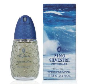 Pino Silvestre Mediterraneo