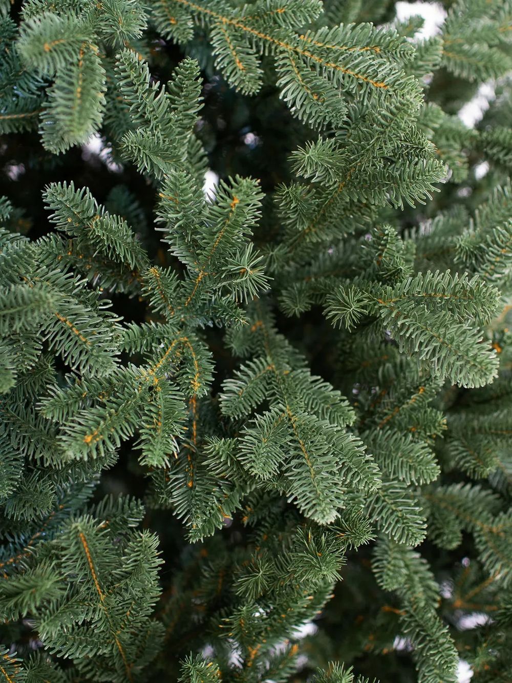 Искусственная ель «Монтерей» (Литая хвоя) 180 см / 1.8 м