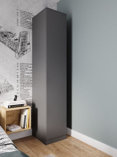 Шкаф-пенал Мори МШ 400.1 (ш402*г478*в2100мм) Графит