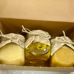 Медовый бокс (набор из 3 сортов меда: таежный, горный, донниковый). 900гр. Алтайский край