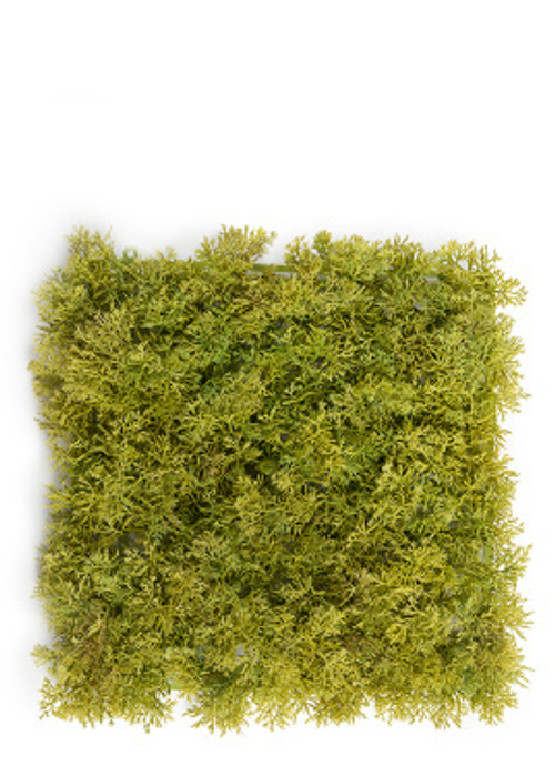 Мох Ягель светло-зелёный микс (коврик)