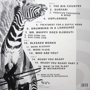 African Head Charge / Vision Of A Psychedelic Africa (2LP)